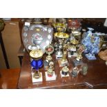 A collection of various snooker and other trophies