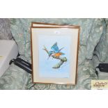 Two watercolour studies depicting a Kingfisher and