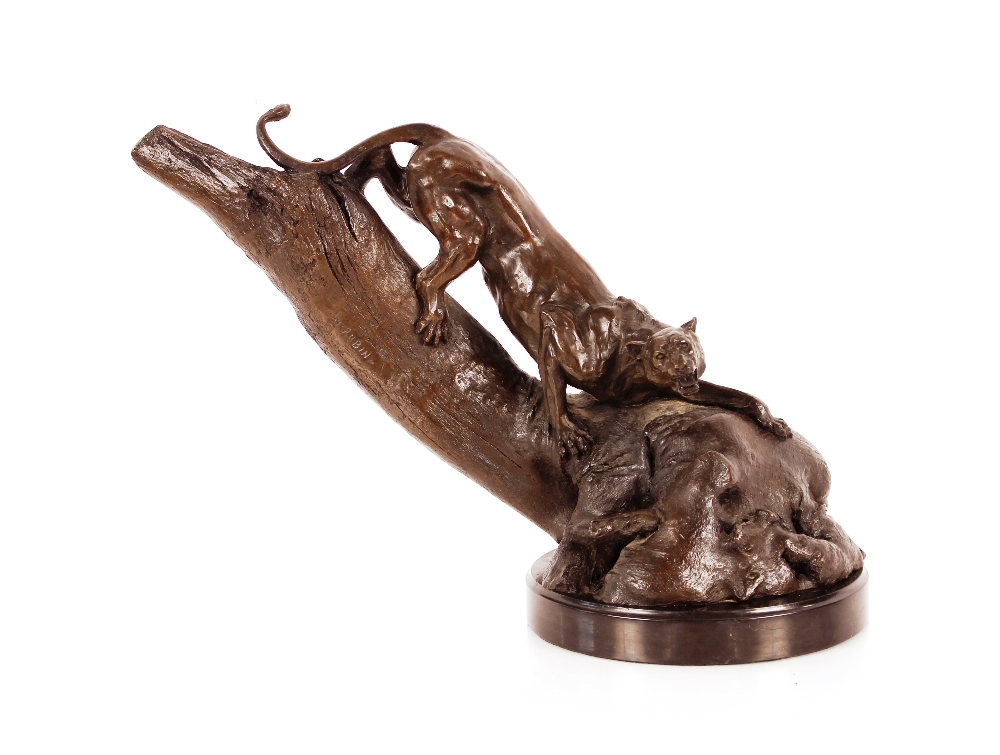 A contemporary bronze study of puma crouching on a