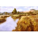 Dipnall, rural study depicting river and fields, s