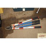 A pair of loppers and a pair of telescopic loppers