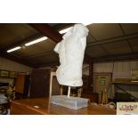 A male torso in plaster. Sculpture after the antique. 66cm high