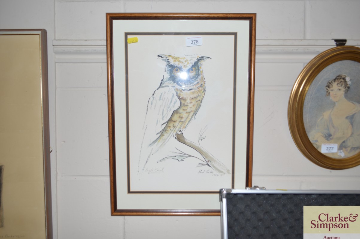 A framed and glazed watercolour study of an eagle