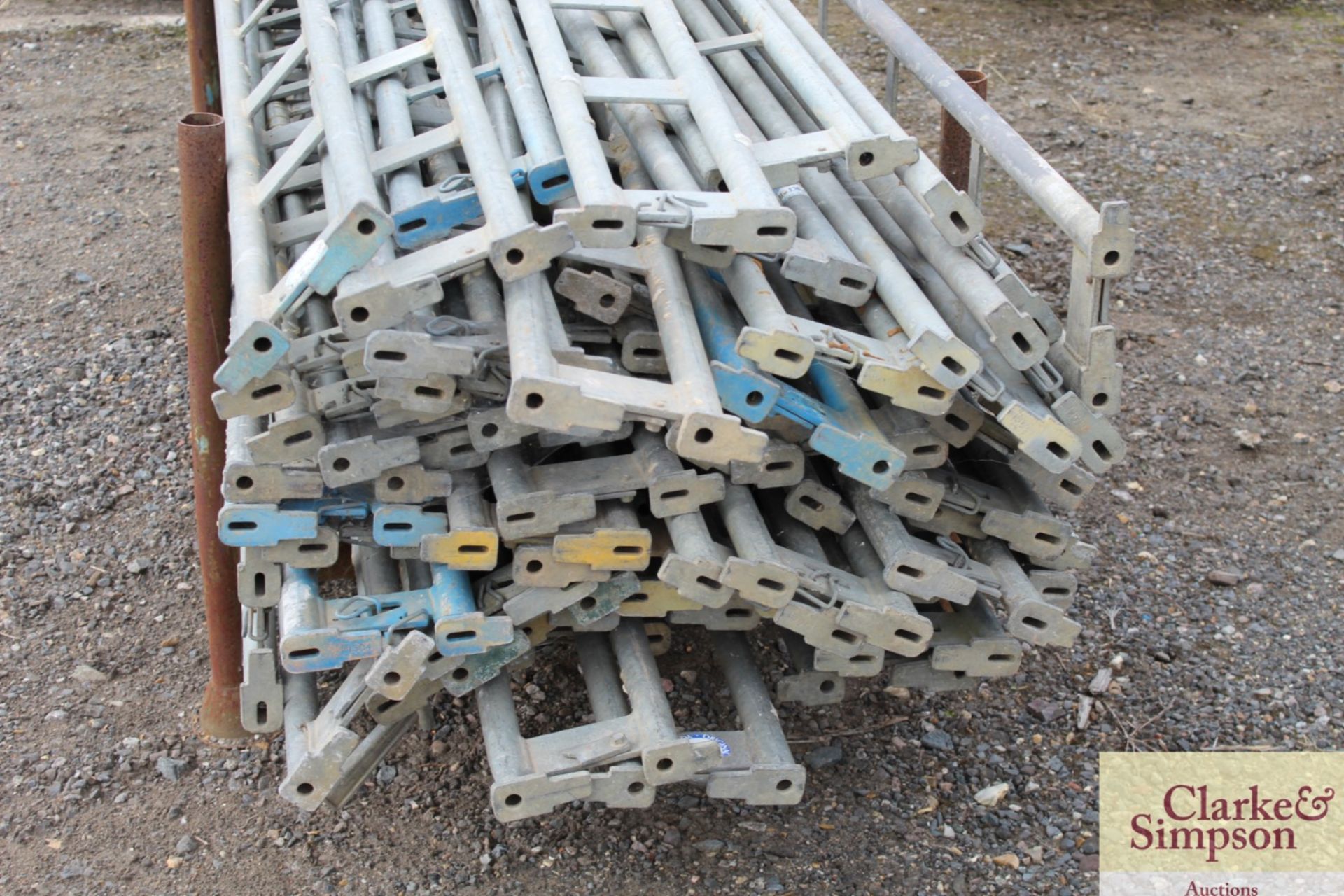 Stillage of Haki Scaffolding Ledger Beams. Mainly 2500. - Image 6 of 6