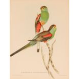 After Gould & Richter, lithograph of parrots on a