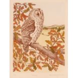 Limited edition print of Tawny Owl, indistinctly p