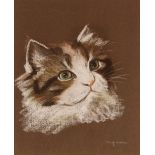 Peter Ward, study of a cat, signed crayon, 30cm x
