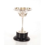 James Fenton, a silver tazza with wing decoration,