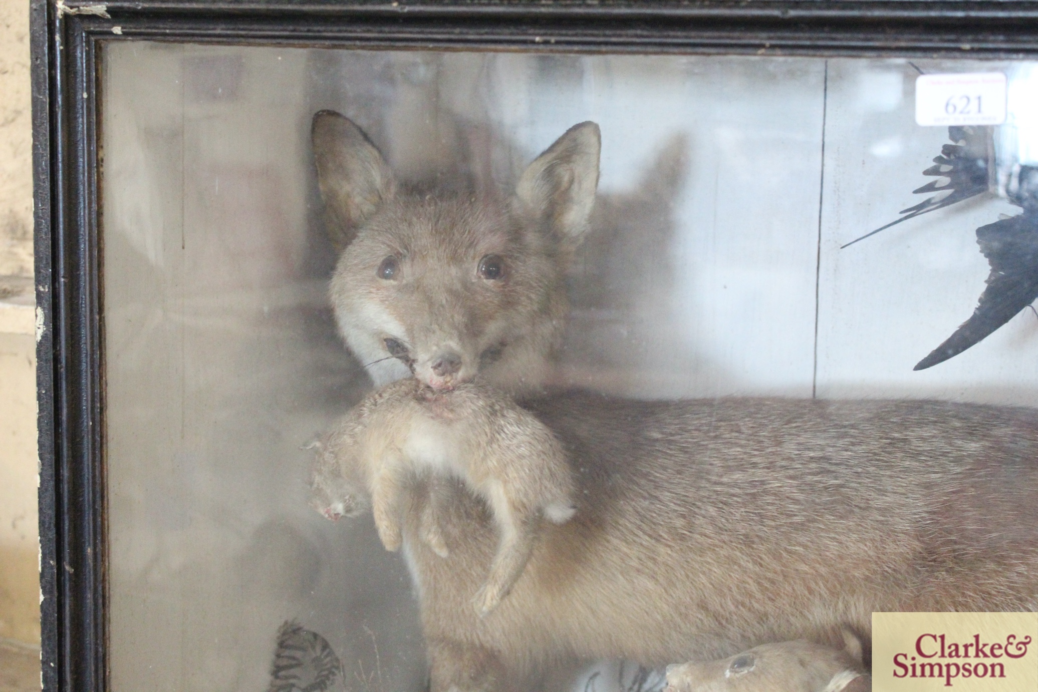 A large cased and preserved taxidermy arrangement - Image 3 of 6