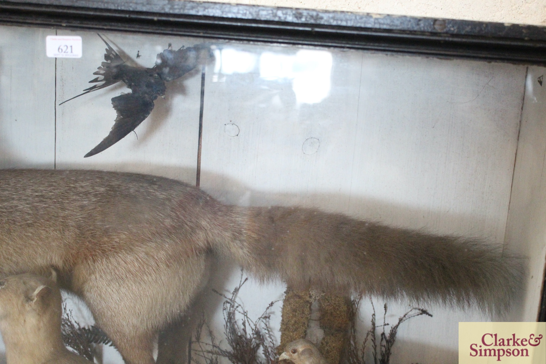 A large cased and preserved taxidermy arrangement - Image 6 of 6