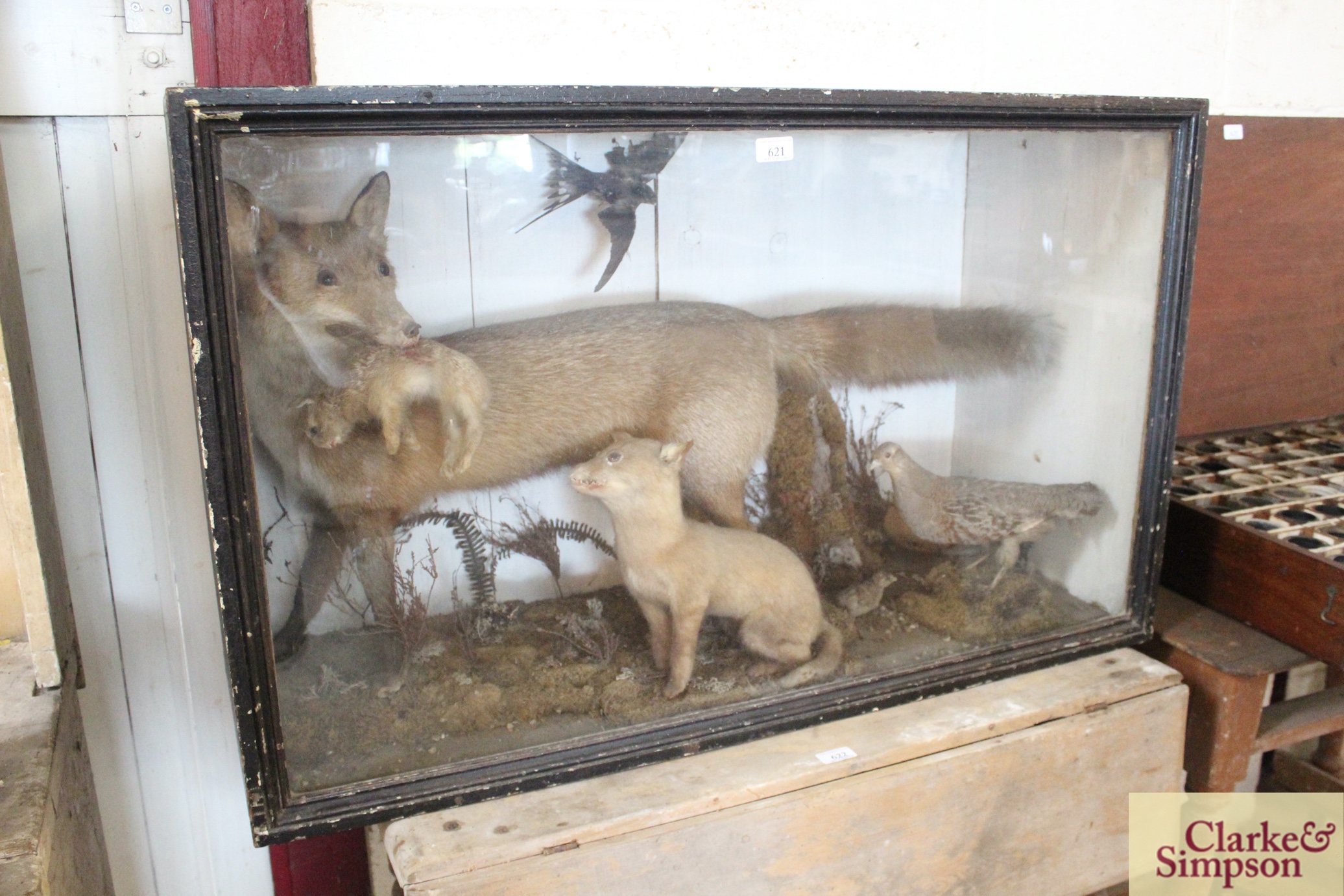 A large cased and preserved taxidermy arrangement