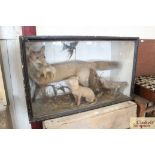 A large cased and preserved taxidermy arrangement