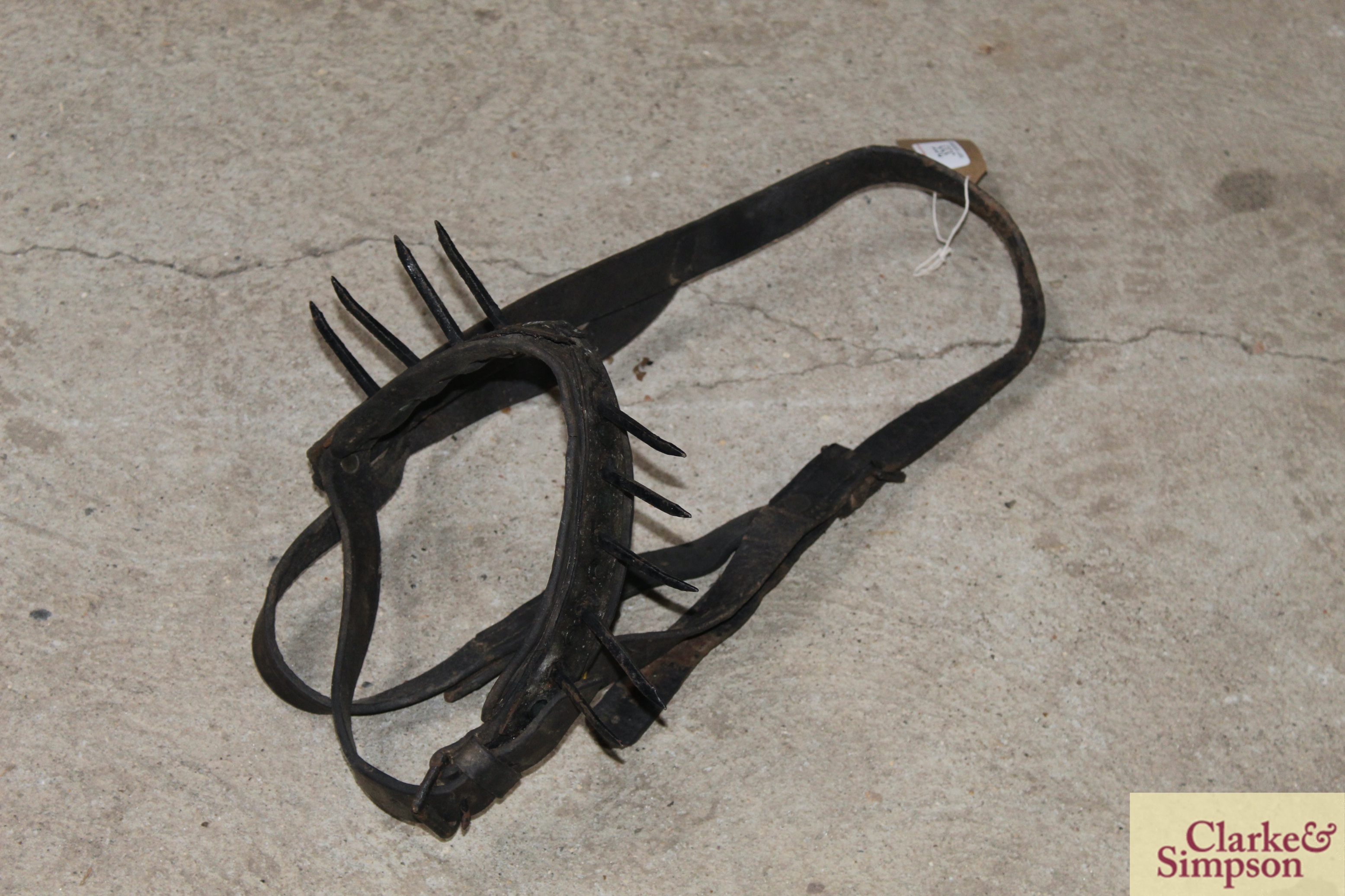An Anti Suckling head collar - Image 2 of 2