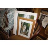 A pencil signed photographic print of a barn owl;