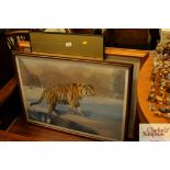 A print of a Siberian Tiger, a print relating to S