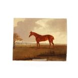 19th Century school, study of a thoroughbred horse in field with windmill in the far ground,