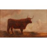 19th Century school, study of a bull in field at daybreak, unsigned oil on canvas, 23cm x 40cm