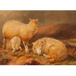 Alfred Morris, sheep on a mountainside, signed oil