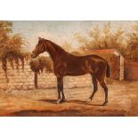 Early 20th Century school, study of a thoroughbred horse, unsigned oil on canvas, 25cm x 35cm