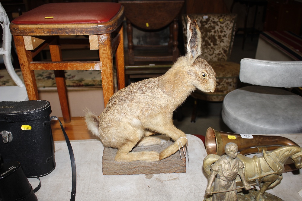 A taxidermy hare on a log