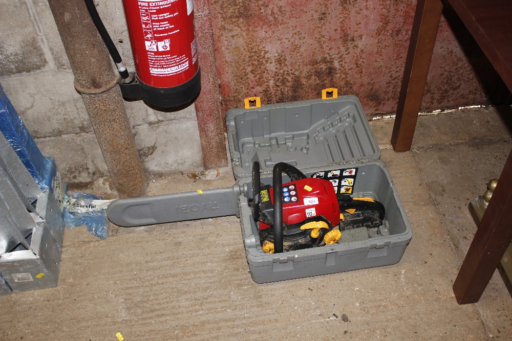 A petrol Ryobi chainsaw in fitted case