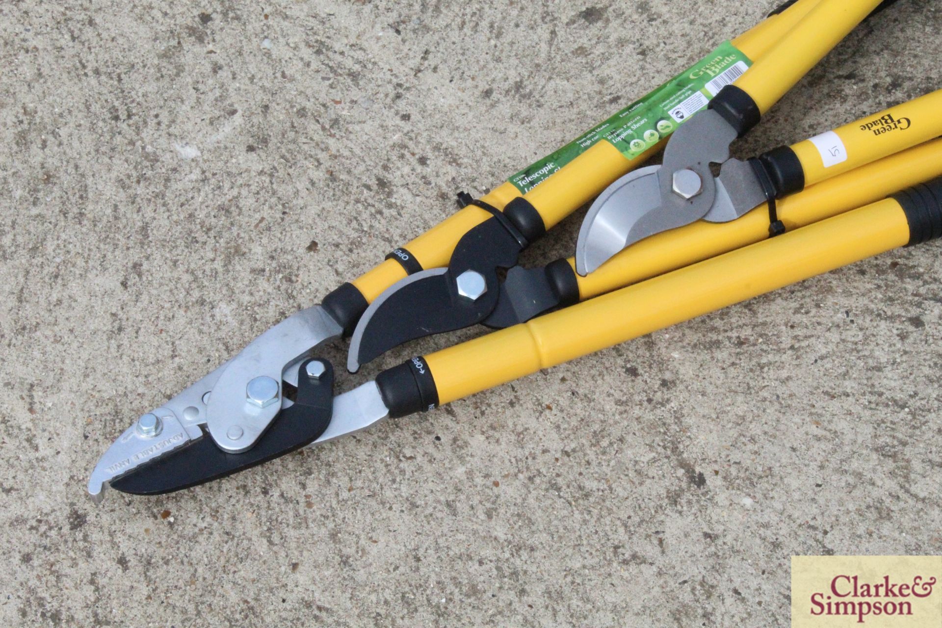 Power pruner, lopper & shears. V - Image 2 of 3