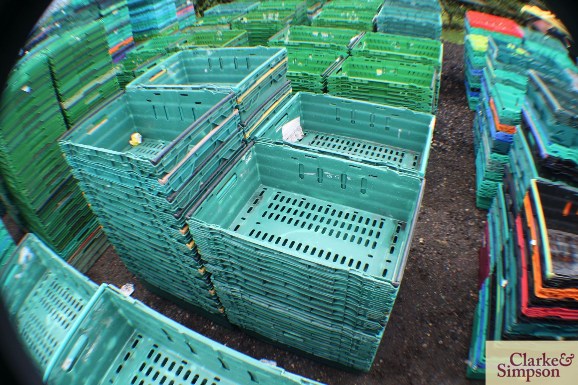 50x vegetable/ produce stacking crates. - Bild 2 aus 2