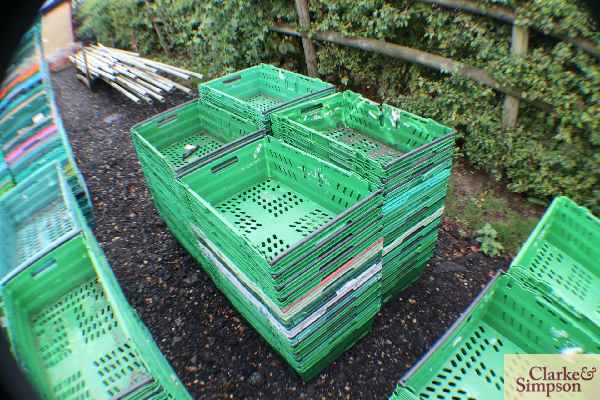 50x vegetable/ produce stacking crates. - Bild 2 aus 2