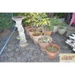 Four terracotta planters and contents together wit