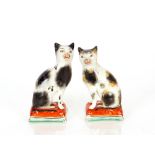 A pair of Staffordshire pottery cats, sitting on cushions, circa.1900, 18cm high