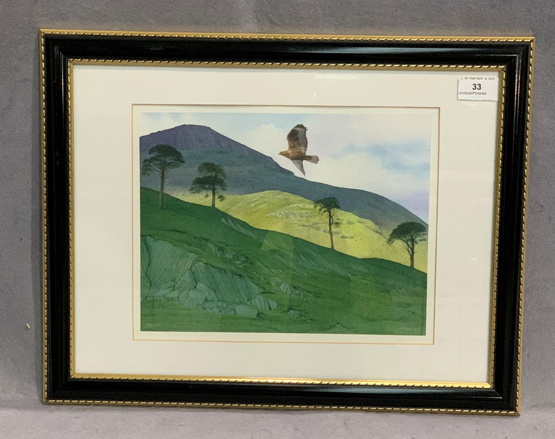 Michael Miller framed watercolour 'Golden Eagle' 23 x 29cm signed to bottom right complete with