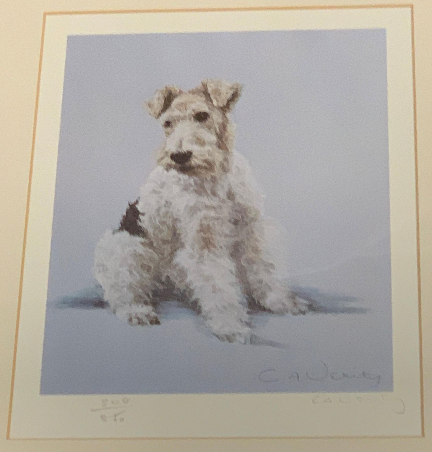 C. A. Verity framed Ltd Edition print of a Wire Hair Fox Terrier 22 x 17cm signed in pencil and No. - Image 3 of 3