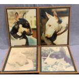 A set of four pictures of Bull Terriers in bamboo effect frames each 52 x 40cm