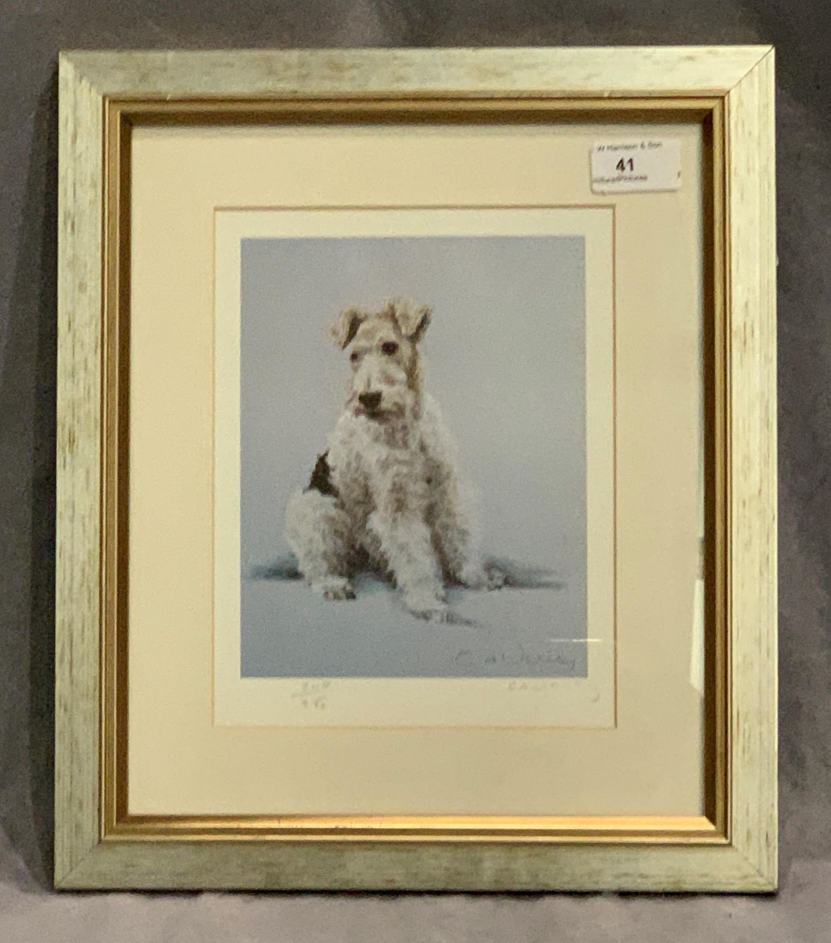 C. A. Verity framed Ltd Edition print of a Wire Hair Fox Terrier 22 x 17cm signed in pencil and No.