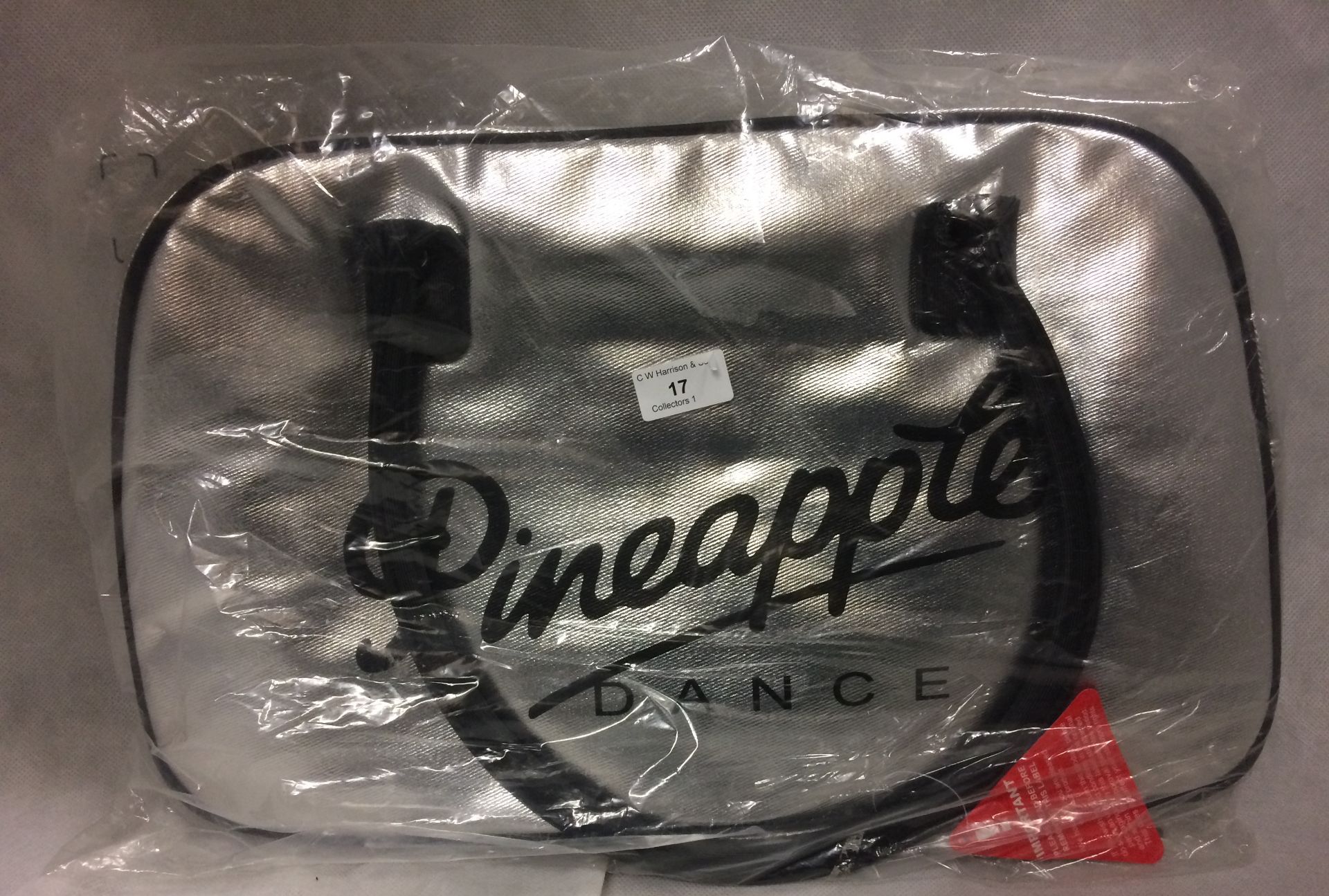 Pineapple Dance Studio retro kit bag in silver
