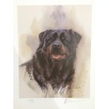 Mich Cawston unframed limited edition pr