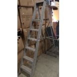 A pair of five step aluminium step ladders