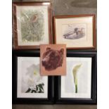 Two black effect framed photo prints by Ziggy Cramer 'Lilie' and 'Calla', each 40cm x 30cm,