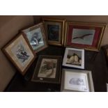 Seven framed photographs and prints of birds and animals