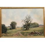 Kevin Walsh, gilt framed oil on board, trees in landscape, 50cm x 75cm,