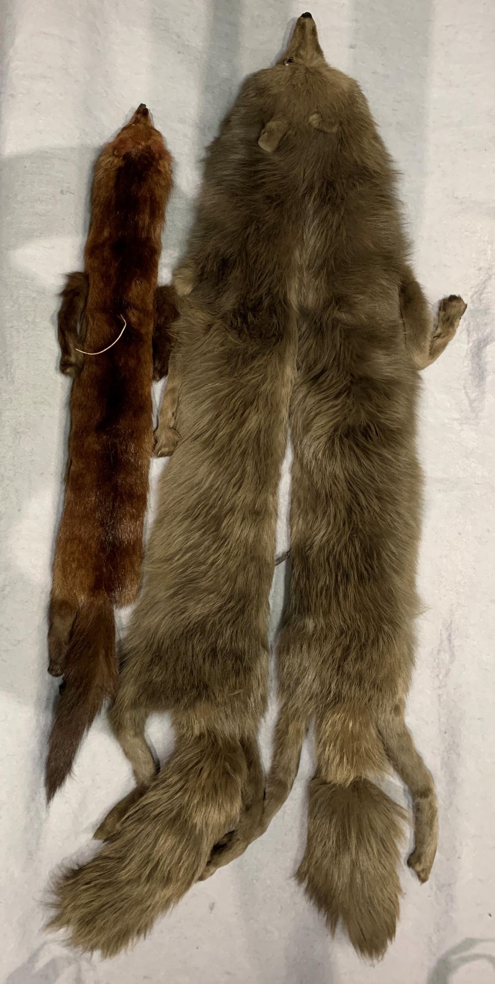 From a deceased estate - two fox fur stoles - Image 2 of 2