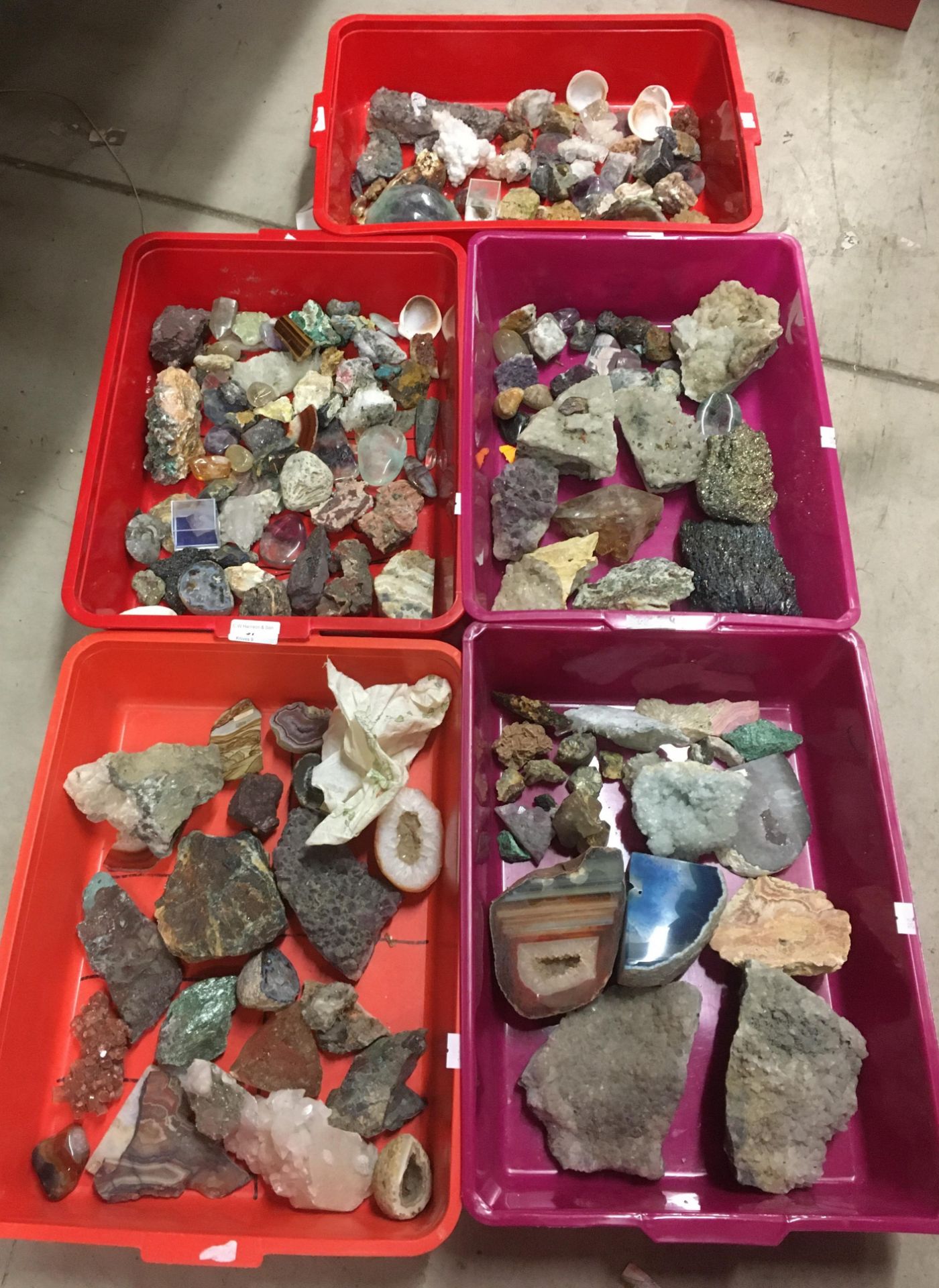 Contents to five trays - assorted mineral and rock samples