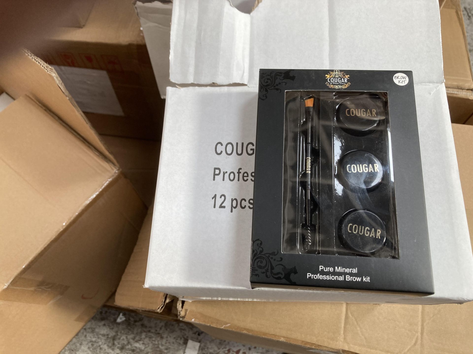 One box of Cougar Professional Brow Kits (12 units per box)