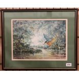 Roy Osborne framed watercolour of a Kingfisher 30 x 39cm signed bottom left label to verso Roy
