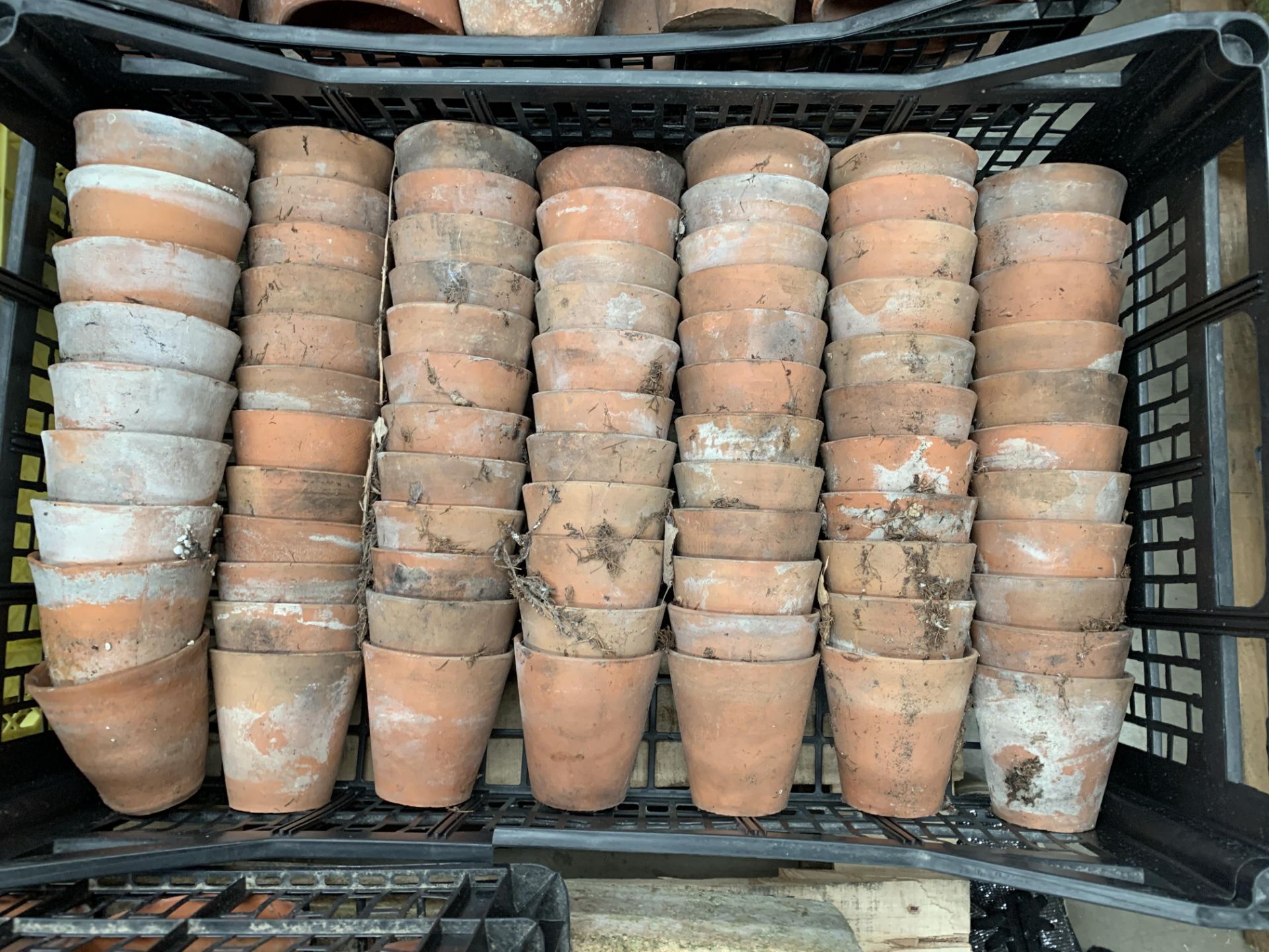 One plastic crate containing old hand thrown Victorian Terracotta plant pots, 77 individual pots,