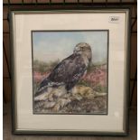 Ida Braham May 2000 framed watercolour 'bird of prey with its kill' 30 x 27cm label to verso