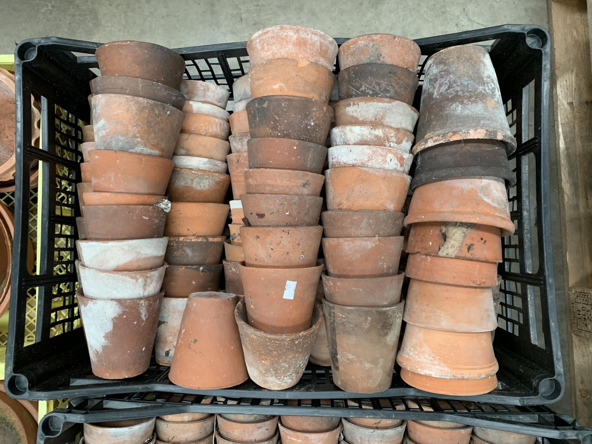 One plastic crate containing 97 old mainly hand thrown Terracotta plant pots,