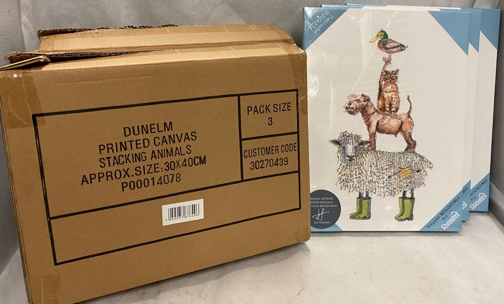 24 x Dunelm artistic impressions printed canvas's stacking animals - 30cm x 40cm (8 outer boxes) - Image 2 of 2