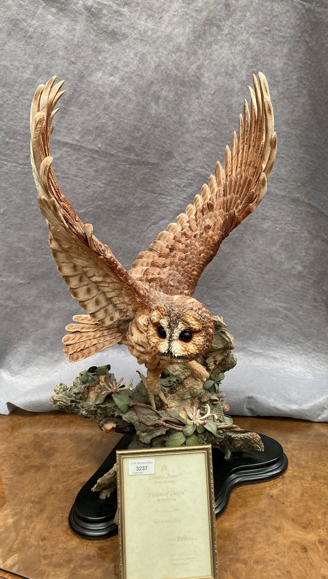 A Country Artists limited edition composition sculpture of an owl 'Vision of Dawn' by David Ivey