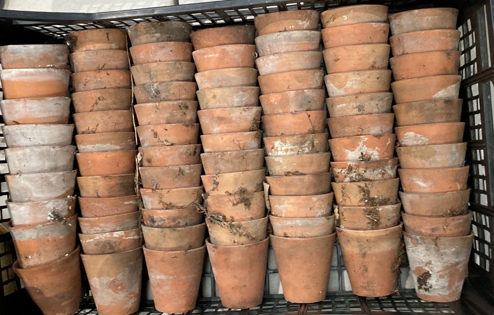 A plastic crate containing old hand thrown Victorian plant pots - 77 individual pots,